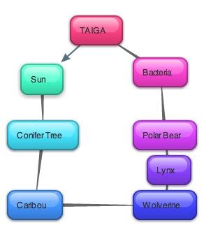 Biome Project Blog: Taiga Food Chain by Cameron Pitts