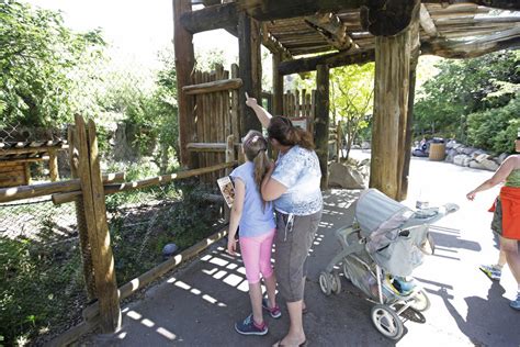 Leopard on the loose: How Salt Lake City zoo kept visitors and animals ...