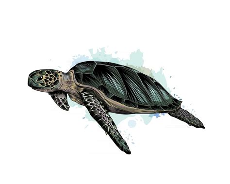 Sea turtle from a splash of watercolor, colored drawing, realistic ...