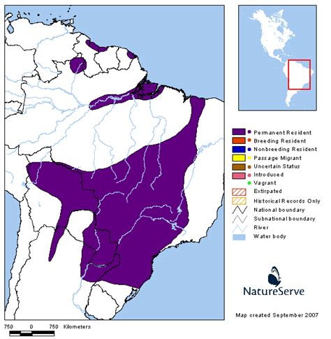 Americas Range Map - Toco Toucan | BirdPhotos.com