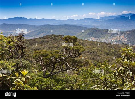 Mount Pedro High Resolution Stock Photography and Images - Alamy