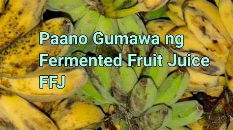 Paano Gumawa ng Fermented Fruit Juice | DIY FFJ - Juice Fast