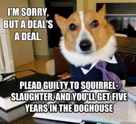 1000+ images about Lawyer Dog on Pinterest | Dog humor, Memes and York