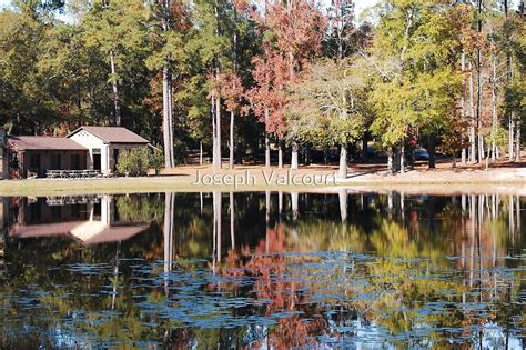 "Lake at Poinsett State Park, South Carolina" by Joseph Valcourt | Redbubble