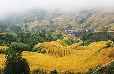 The Jinkeng Rice Terraces - Site for Most Awesome Longji Photos