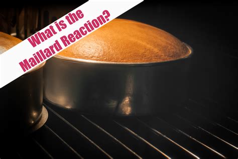 What is the Maillard Reaction? - Kitchen Science for Kids