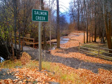 Salmon Creek - Washington Water Trust