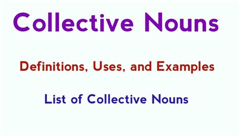 Collective Noun Definition Examples and List