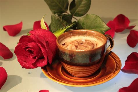 Rose Coffee Cup · Free photo on Pixabay