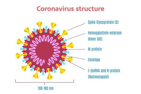 Science in the time of corona - Dectris