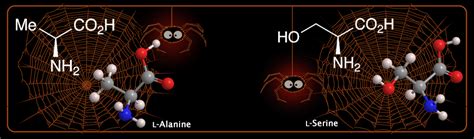 L-Alanine - American Chemical Society