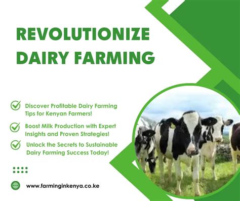 Dairy Farming in Kenya: Comprehensive Guide for Success