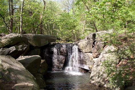 Central Park Ravine Waterfall | The Ravine Waterfall near th… | Flickr