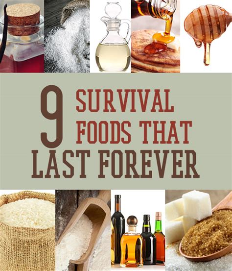 Survival Food That Lasts Forever | Survival Life