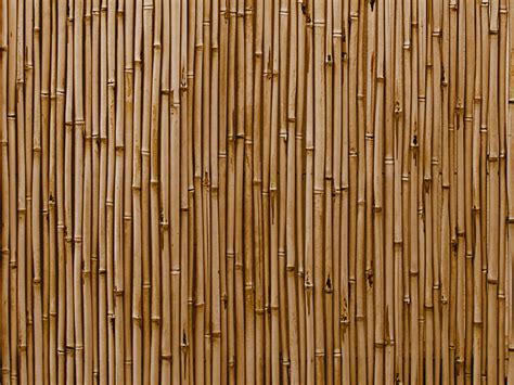 Bamboo Wall Texture High Res (Wood) | Textures for Photoshop