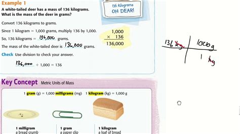 5th Grade Math Chapter 11 Lesson 12 Convert Metric Units of Math - YouTube