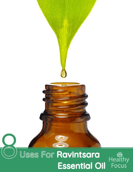 8 Uses For Ravintsara Essential Oil - Healthy Focus