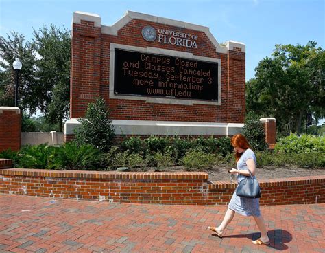 UF among top schools for online bachelor, education master's degrees