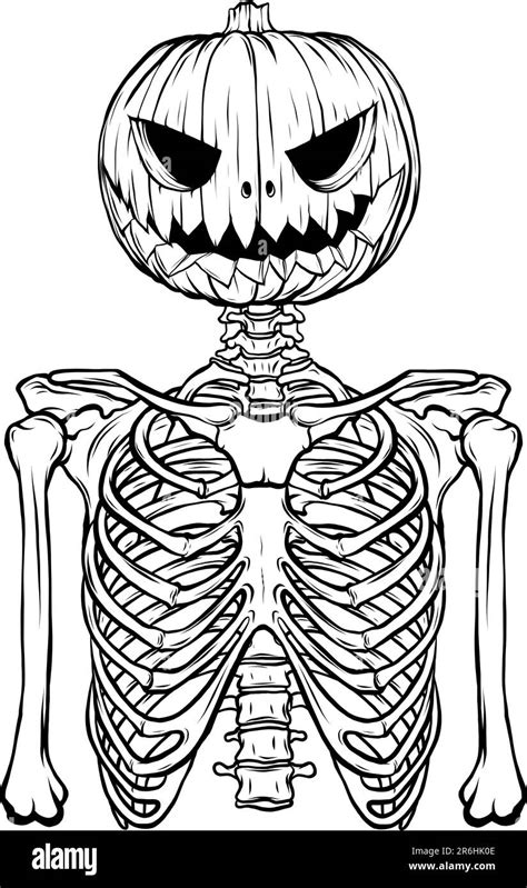 vector illustration of Monochrome Halloween skeleton with head pumpkin Stock Vector Image & Art ...