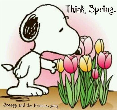 Spring | Snoopy love, Snoopy pictures, Snoopy