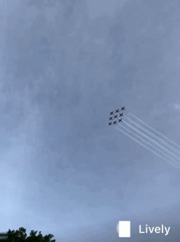 Snowbirds Hi GIF - Snowbirds Hi Hockey - Discover & Share GIFs