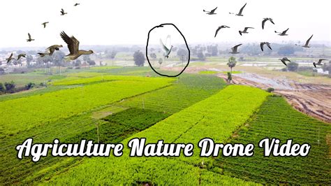 Agriculture Nature Drone Video 4K || by boure sravan - YouTube
