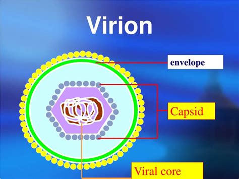 PPT - Medical Virology PowerPoint Presentation, free download - ID:2976885