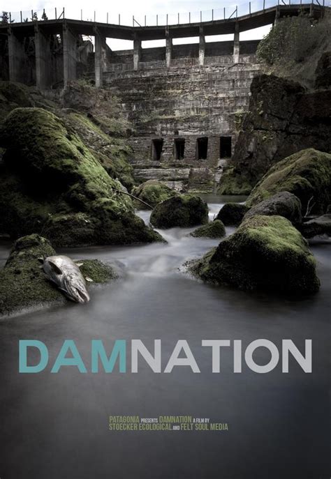 Watch DamNation