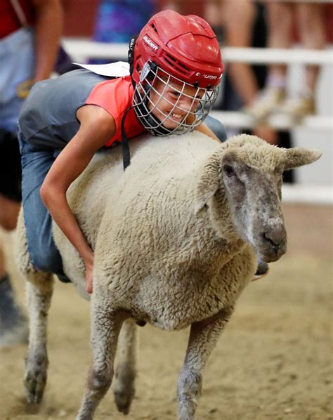 Children hold on tight during mutton busting event | Grand Island Local News | theindependent.com