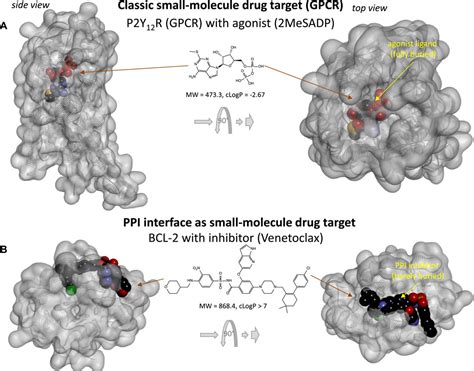 Frontiers | Developing Small-Molecule Inhibitors of Protein-Protein Interactions Involved in ...