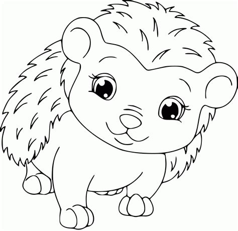 Hedgehog Coloring Pages - Best Coloring Pages For Kids