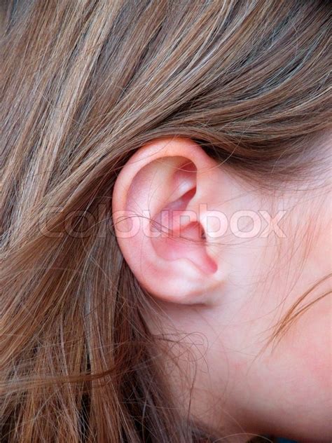 Ear of a caucasian girl, young ... | Stock image | Colourbox