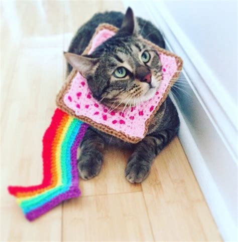 Nyan Cat Costume by CrochetAndChardonnay on Etsy https://www.etsy.com/listing/462335080/nyan-cat ...