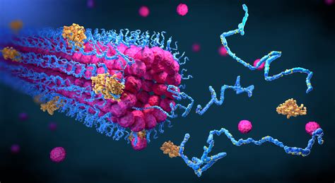 Harnessing Ubiquitylation for Drug Discovery - THE CART FOOD