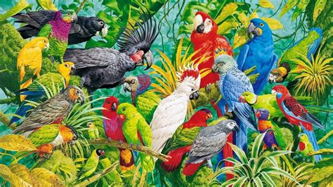 art, Oil, Painting, Drawing, Parrots, Paradise Wallpapers HD / Desktop and Mobile Backgrounds