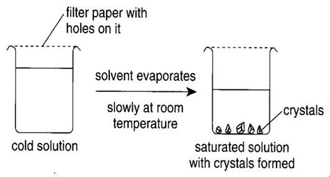 Downstream Processing and its Importance in Bioprocess - Biomall Blog