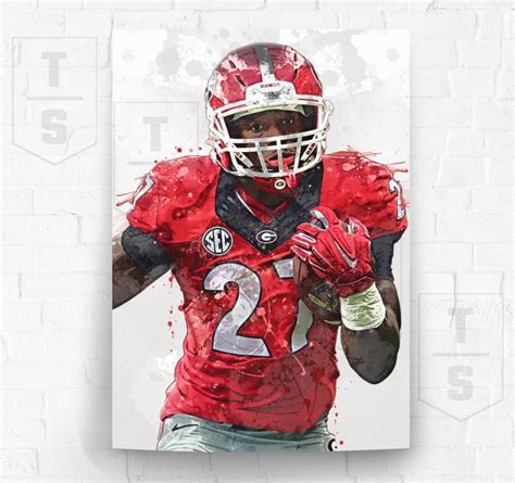 Nick Chubb Georgia Bulldogs Poster v1 Canvas Banner | Etsy