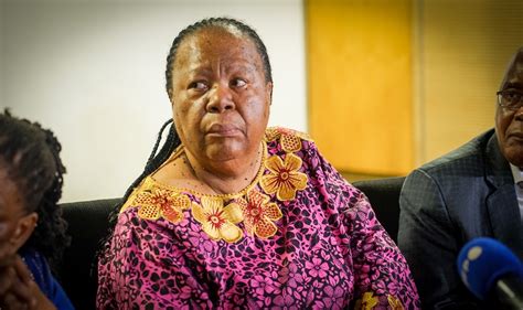 WATCH | Pandor says Israel's occupation of Palestine 'bred hatred, suffering and pain' | News24