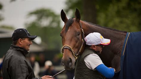 Caught Between Fresh Horses and Triple Crown Tradition - The New York Times