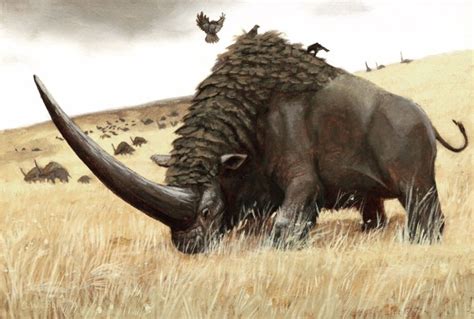 The Elasmotherium Sibiricum | Ancient animals, Extinct animals, Prehistoric wildlife