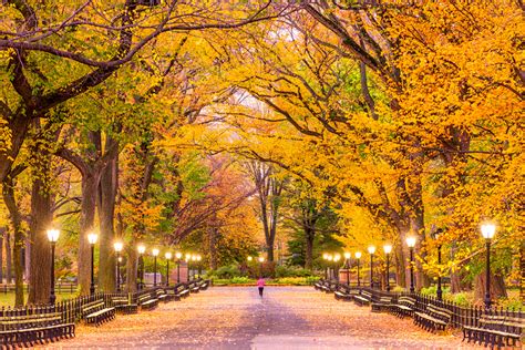 The Best Places to See Fall Foliage in Central Park