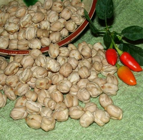 Growing Chickpeas: How to Grow Chickpeas and Care for Them | Happy DIY Home