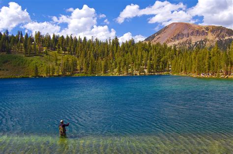 Mammoth Lakes Fishing Season is Here! | 1849 Mountain Rentals