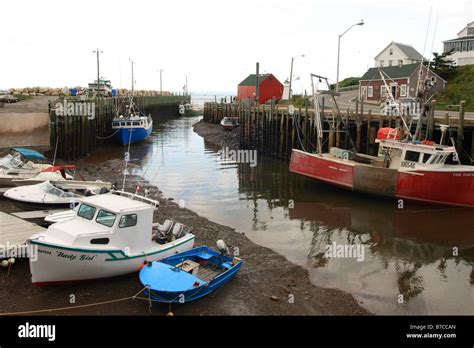 Low tide in the Bay of Fundy at Hall's Harbor Nova Scotia Canada where some of the highest tides ...