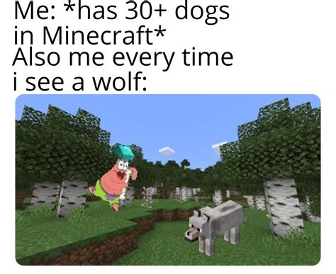 My job isn't done until every wolf has a home | r/MinecraftMemes | Minecraft | Know Your Meme