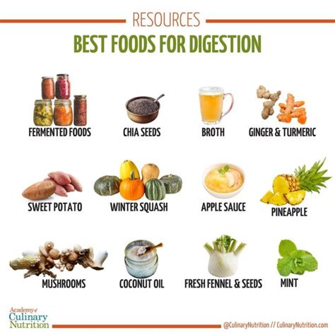 These best foods for digestion, which are commonly available at most grocery stores, are ...