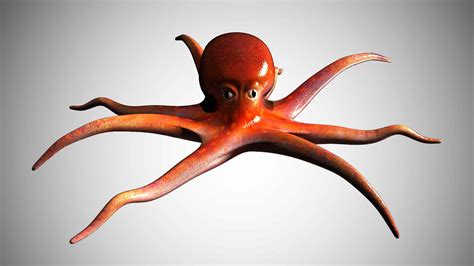 Octopus 3D Model Rigged and Low Poly Game ready