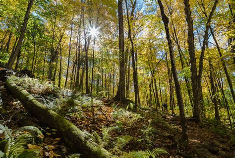 10 Top Hikes in Vermont