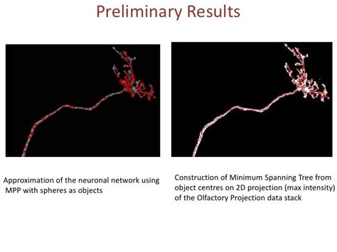 Marked Point Process For Neurite Tracing