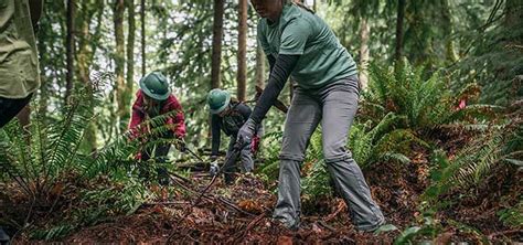 Stewardship activities for adults, kids and families, from REI | Nature kids, Stewardship, Rei